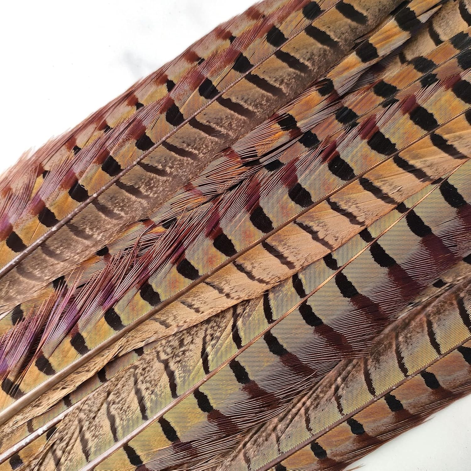 Genuine 14-16″ Male Pheasant Feathers (20pcs) – Cruelty-Free, Sanitize DIY Decor