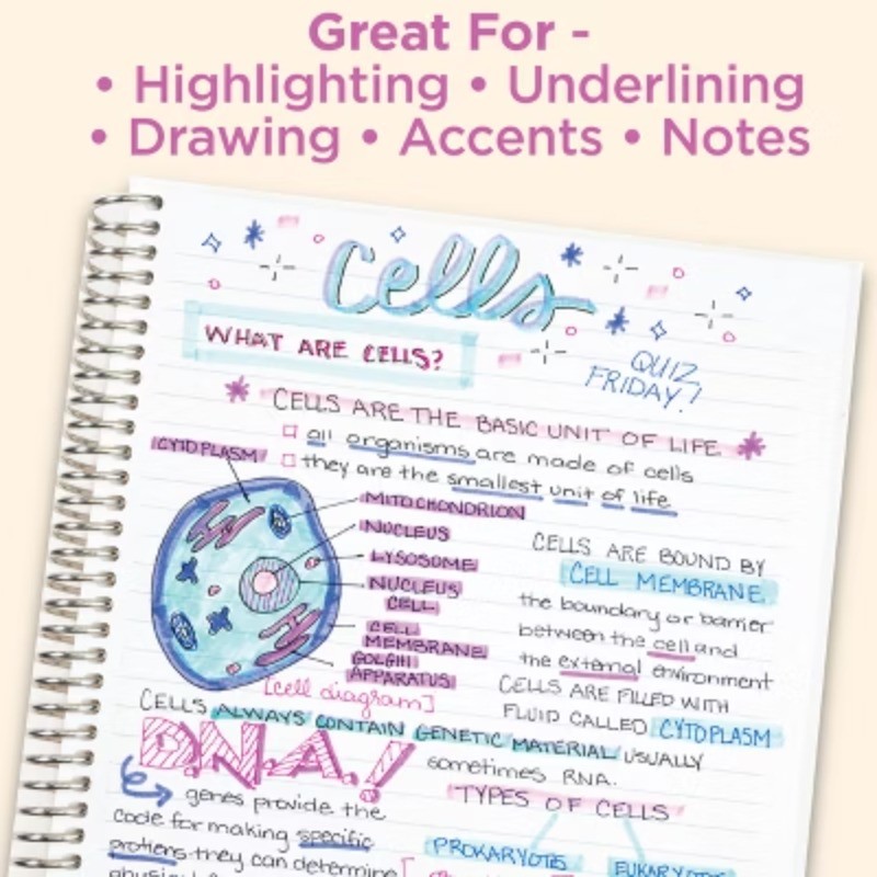 25ct Mildliner Dual-tip Markers: Highlighters, Fine/Bold, Multicolor, Ages 13+
