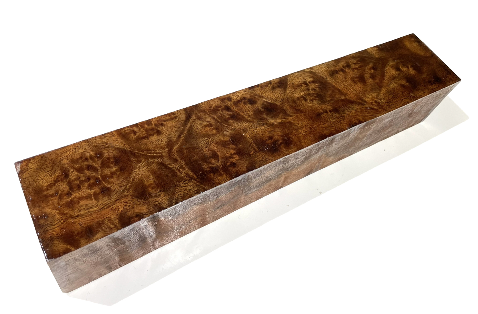 Camphor burl wood turning blank 2-11/16″ x 2-11/16” x 14-7/8″ (L24) Dried
