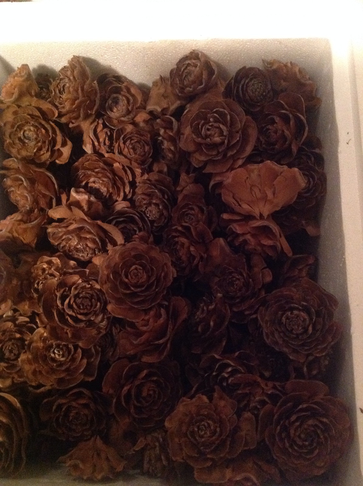 100 Cedar medium/Large cedar rose pine cone Wood Rustic Wedding Flowers Wooden
