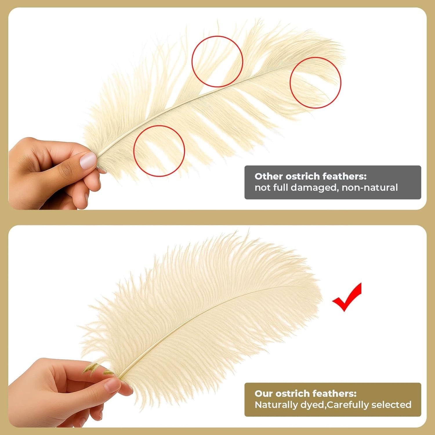 Cruelty-Free 20 Pcs Champagne Ostrich Feathers (6-8”) for Memorable Celebrations