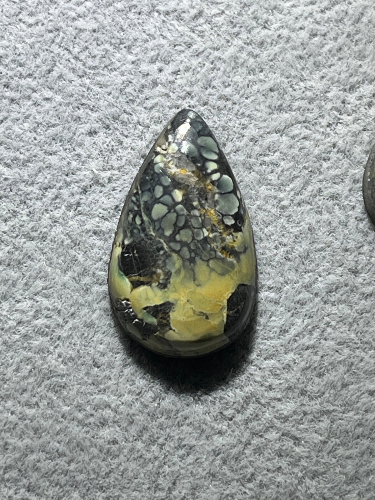 Tree Frog Variscite mine 10.3 ctw pear tear drop Cabochon NV, USA