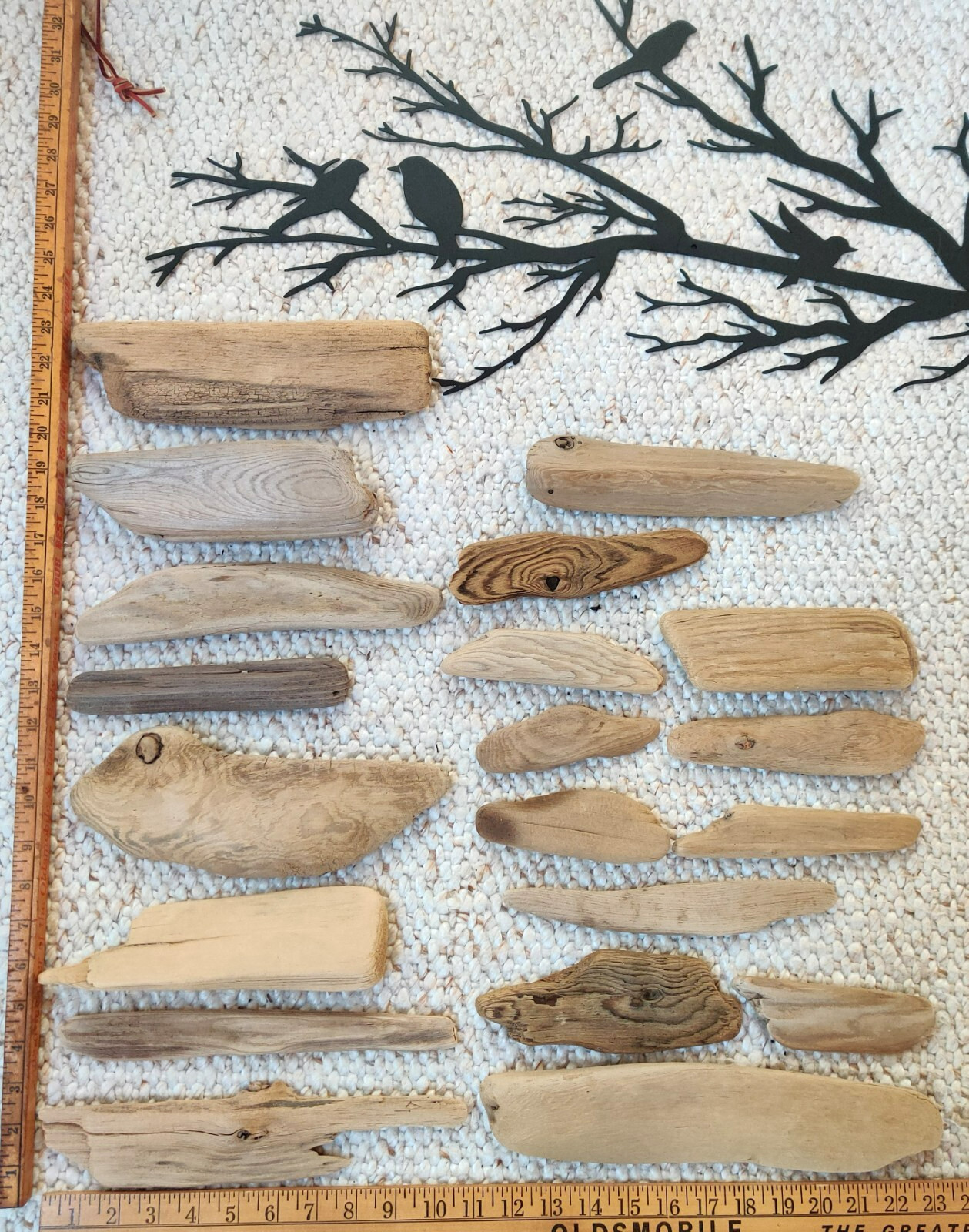 2 lbs. (14+ pcs.) of Beautiful, Unique, Natural Driftwood Gleaned from Lake MI
