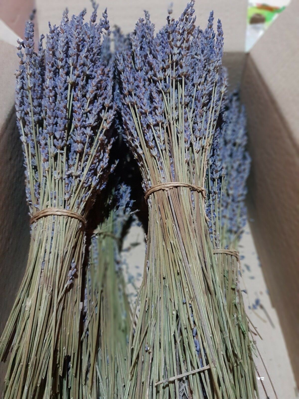 Certified Organic Greek Dried Lavender 22 Bunches 32cm | Harvest July 2024