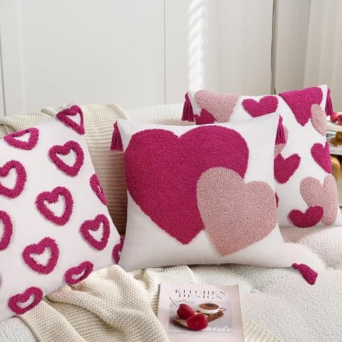 Valentine’s Day Throw Pillow Covers 18×18 18″ x 18″ (Pack of 1) Double Hearts