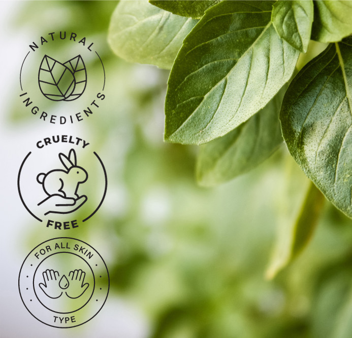 Bulk 8 fl oz Basil Essential Oil Pure Natural in Aluminum Bottle