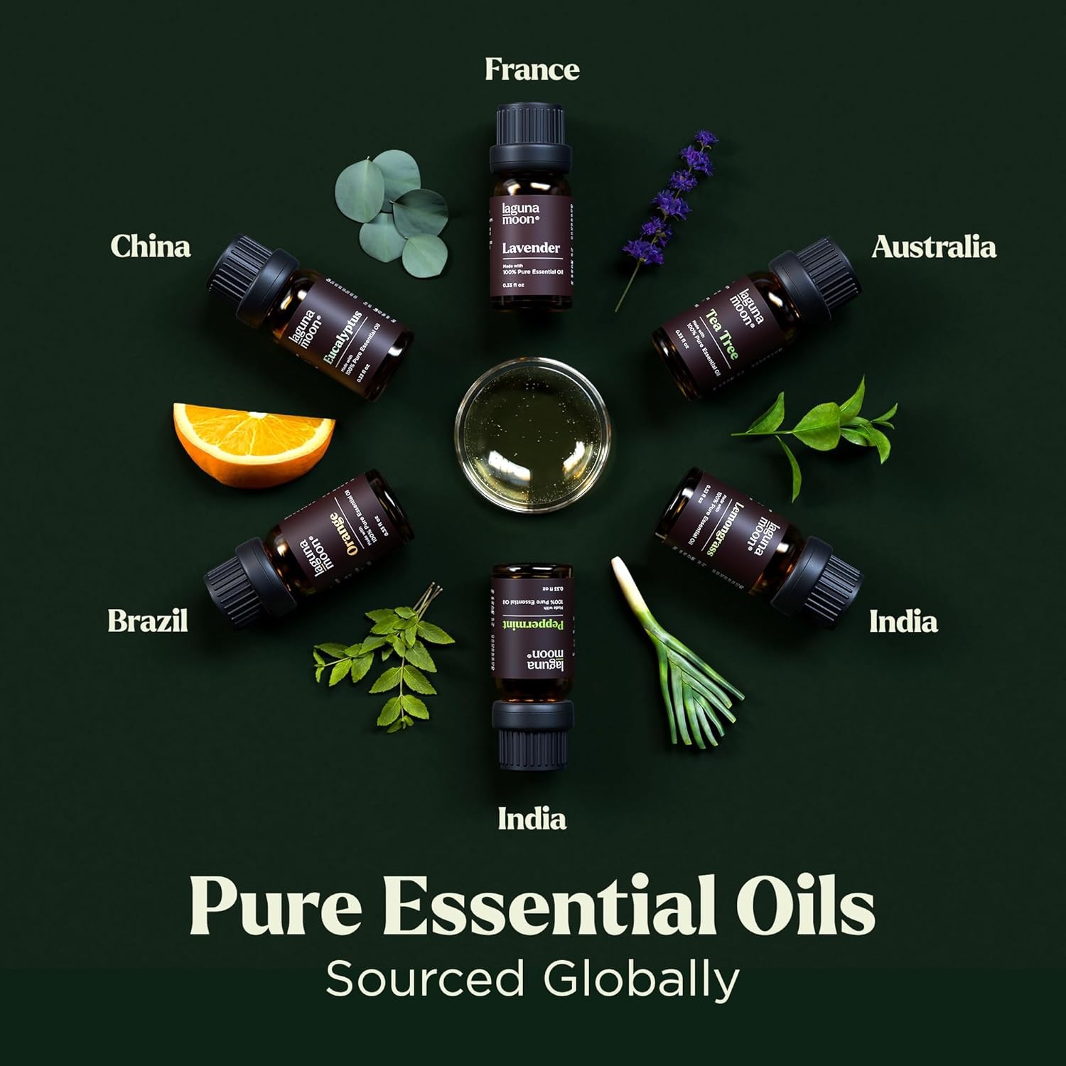 Lagunamoon Essential Oils Set – Top 6 Blends for 0.33 Fl Oz (Pack of 6)
