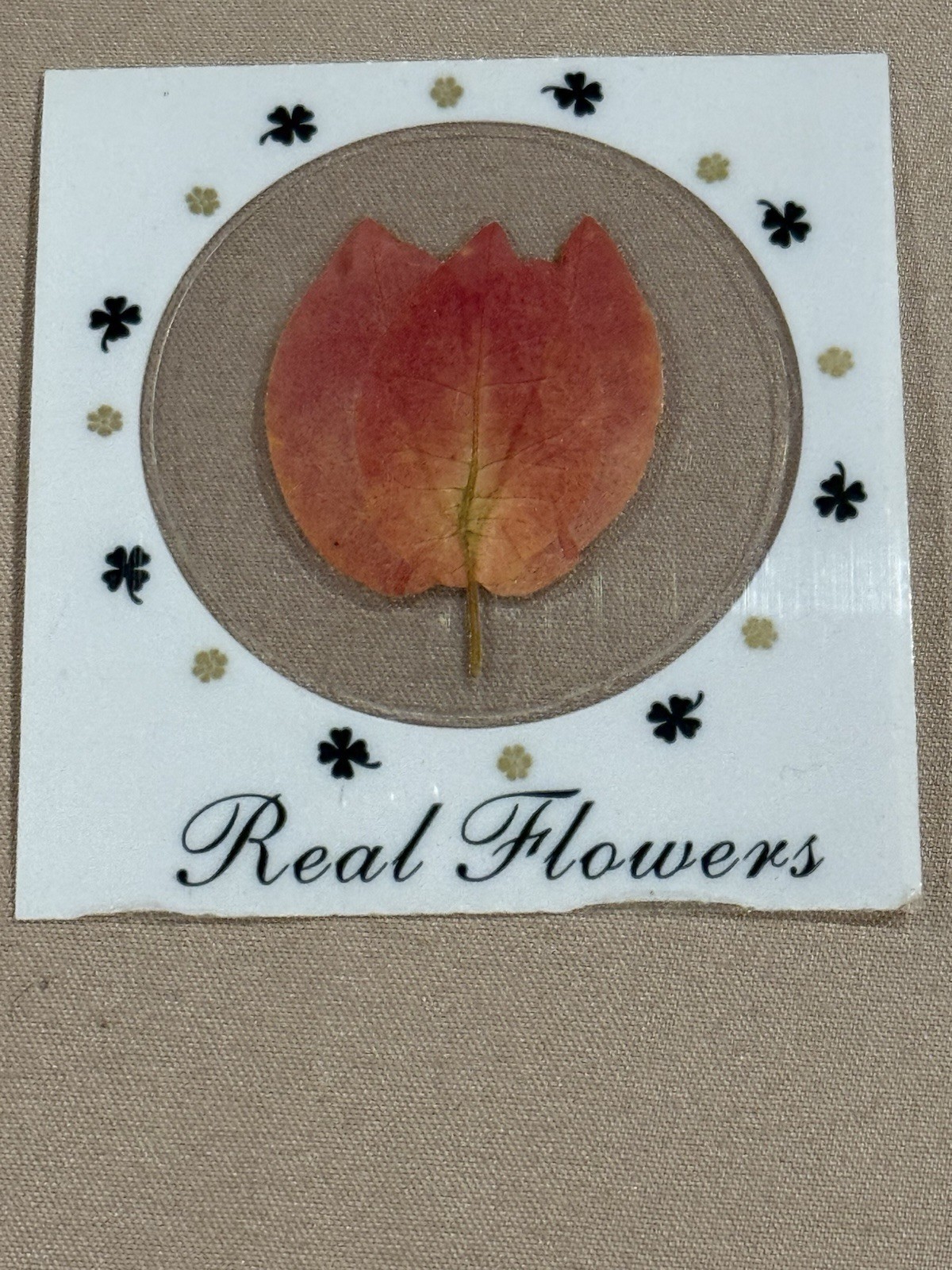 5 Sheets Rare Vintage Real Flowers Orange Leaf Sticker