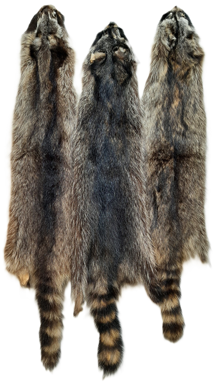 Soft Tanned Raccoon Medium Grade