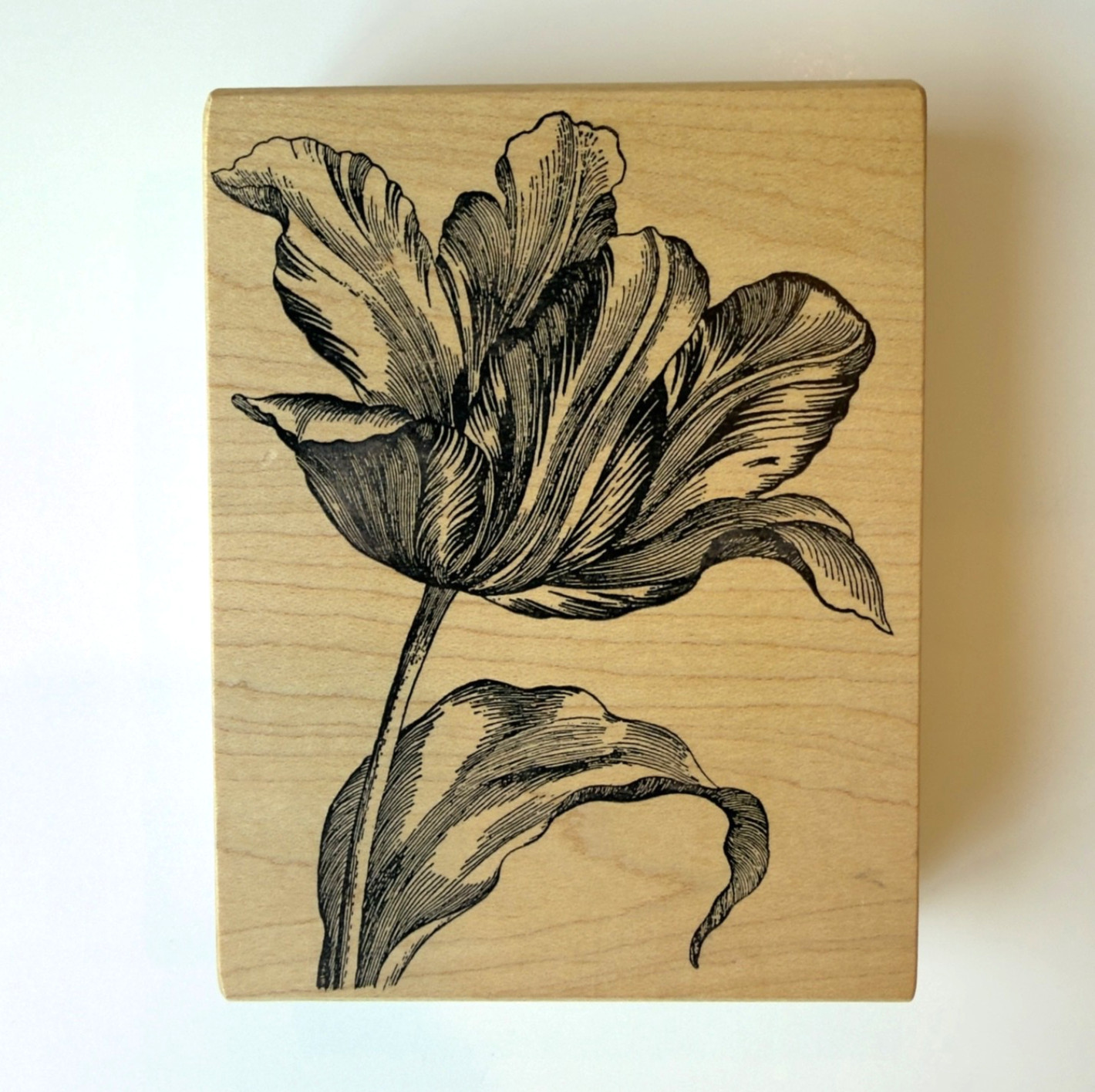 Extra Large Vintage Magenta 09152R Tulip Flower Spring/Summer Rubber Stamp