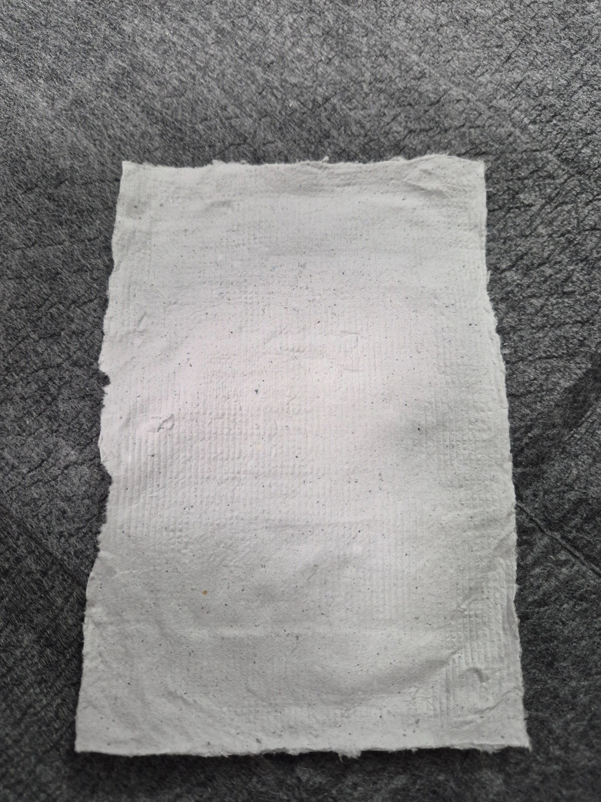10 Eco-Friendly Handmade Paper Sheets | 4.125 x 6.125 | Deckle Edge