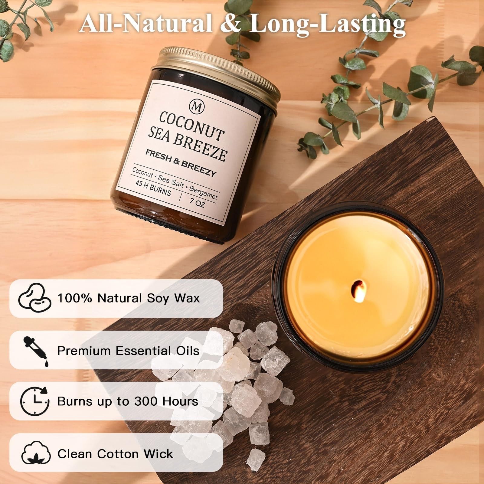 6-Pack Scented Soy Candle Set – Lavender Vanilla, Eucalyptus, Sandalwood,