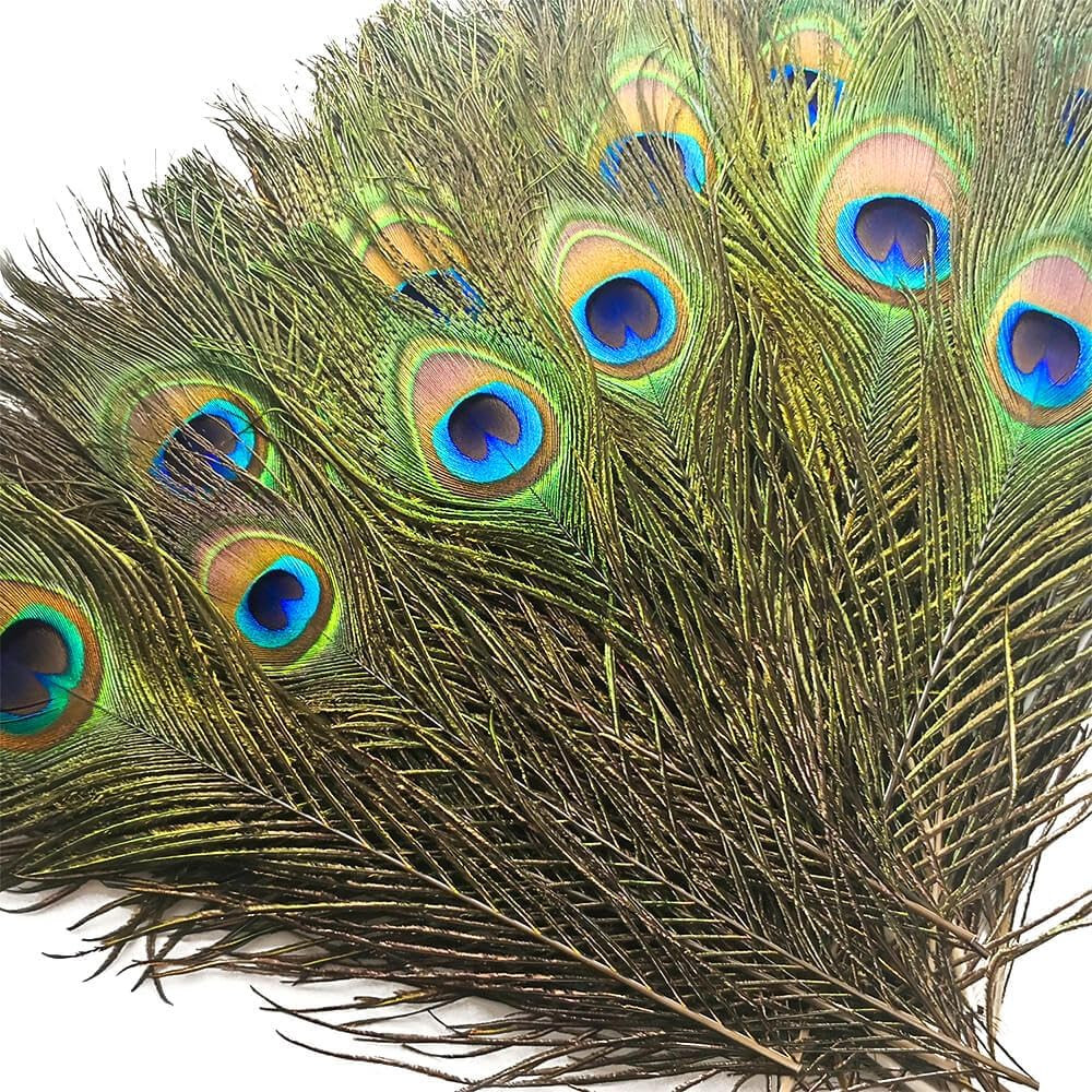 200 Pcs Peacock Feathers in Bulk 10-12 Inch Bulk for DIY Craft, Craft