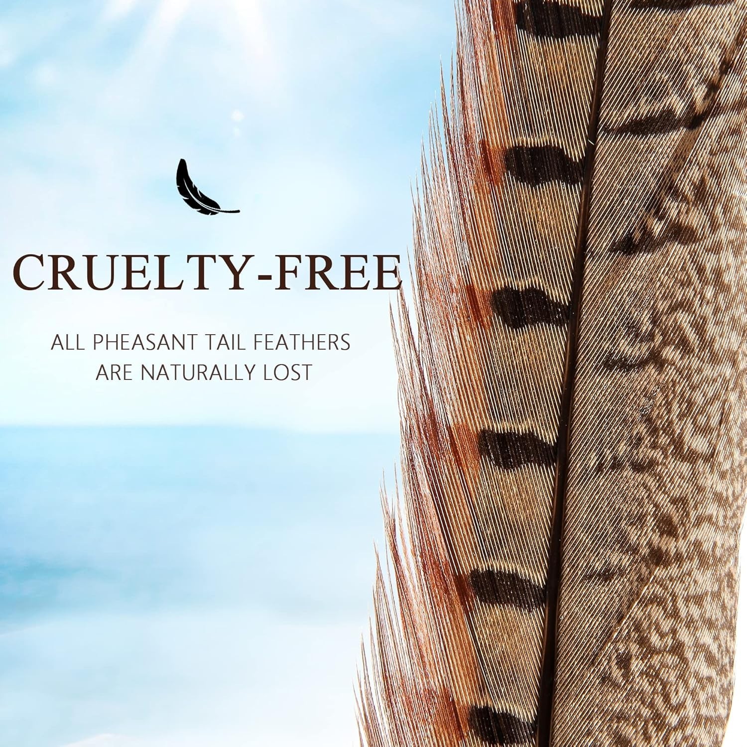 Genuine 14-16″ Male Pheasant Feathers (20pcs) – Cruelty-Free, Sanitize DIY Decor