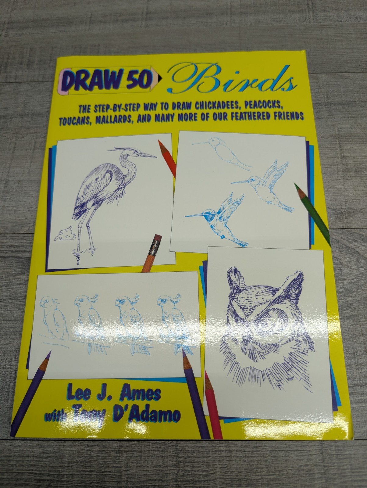 Lot of 6 Drawing/Sketch Books. See Description For Titles.