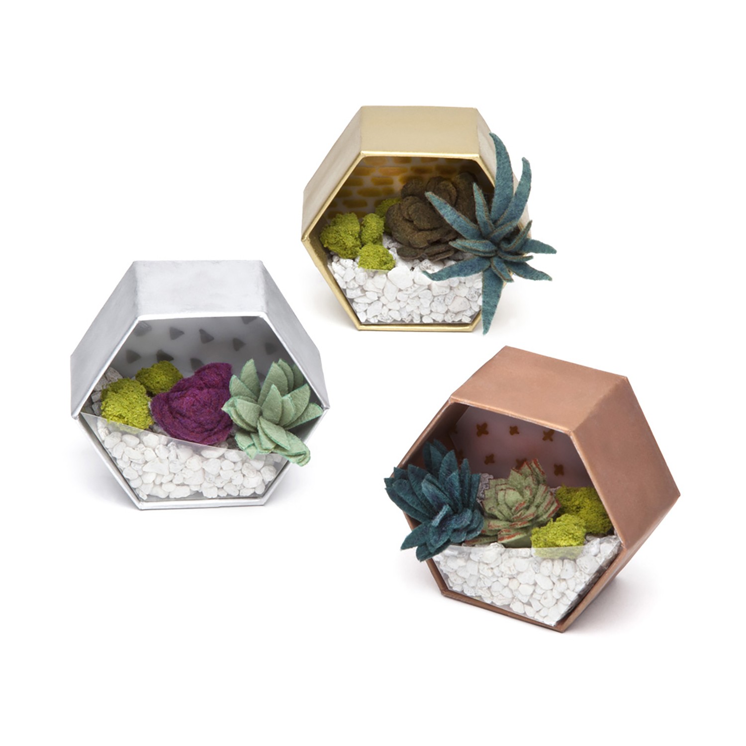 New – Ann Williams Craft Crush – Mini Terrariums Kit – Ages 13+ | 1-3 players