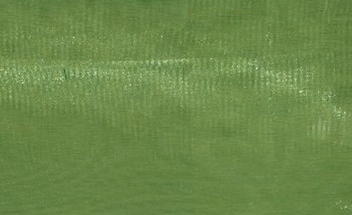 Lime crystal Organza sheer polyester 58″ wide