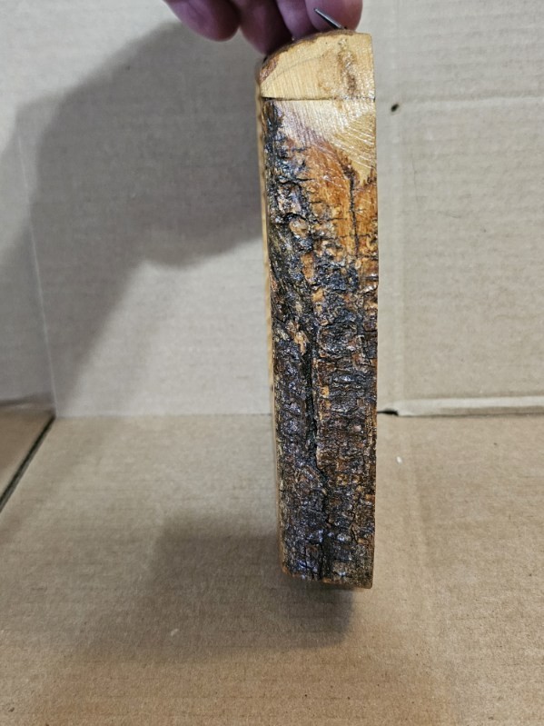 PETRA JORDAN Wood Live Edge Wall Decoration Hand Carved 7.5x6x1.5in