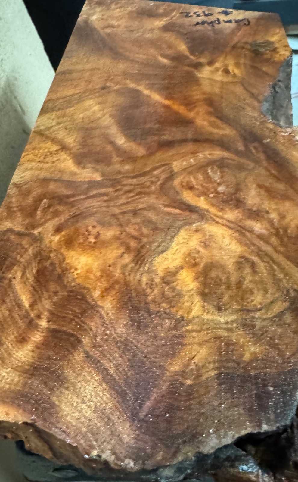 Camphor Burl,turning blank, Bowls,Penblanks,#CAM932