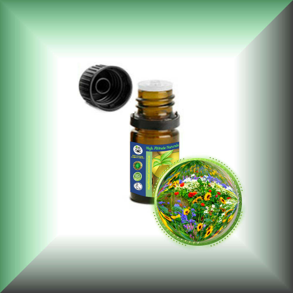 Chypre Absolute