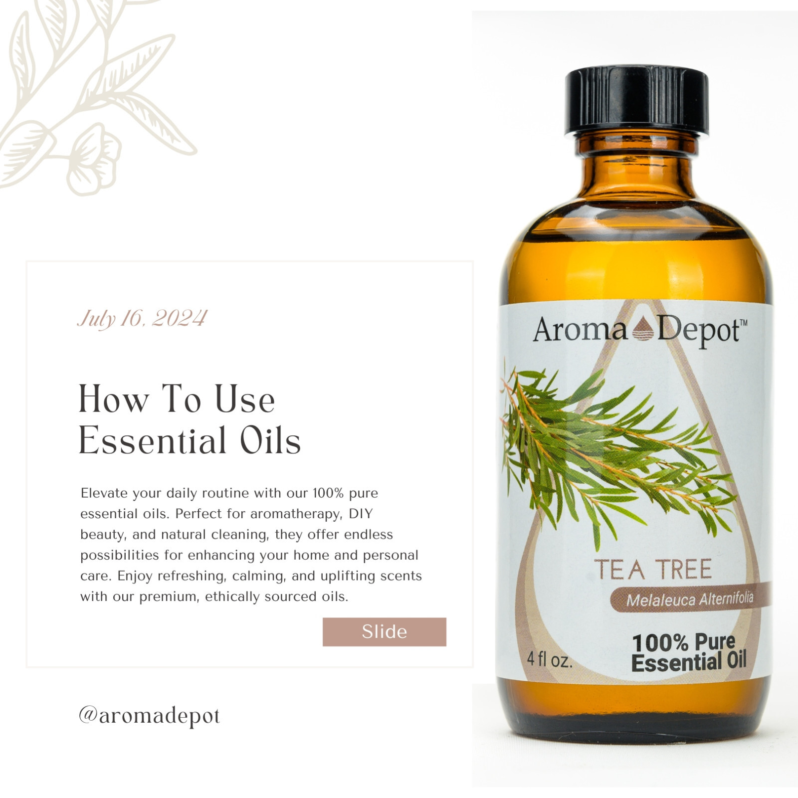 Tea Tree Essential Oil Therapeutic Grade 100% Pure Natural Melaleuca Acaite