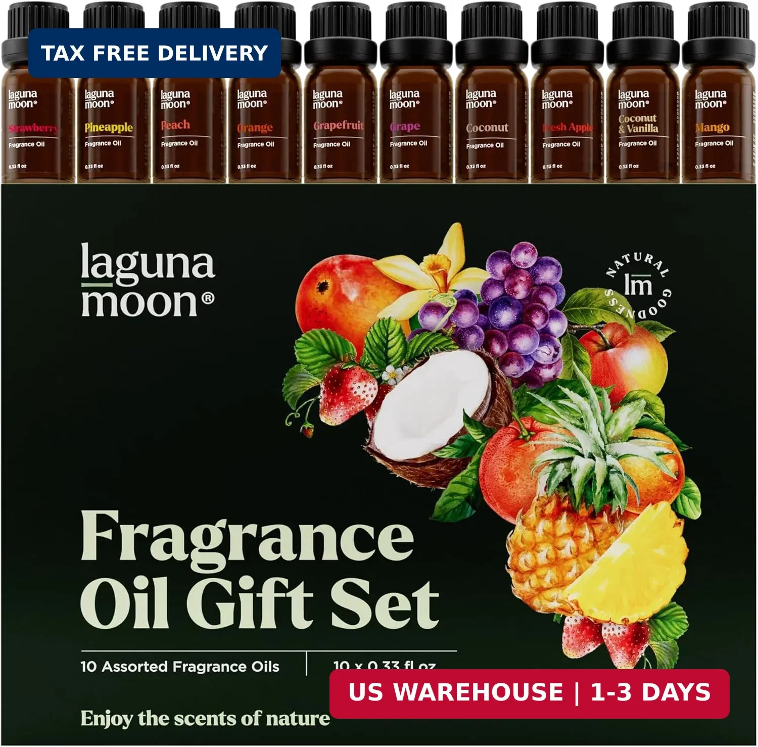 Fragrance Oil Set – Premium Grade 10 Pcs Scented Oils for Candle Making, Soap Sc