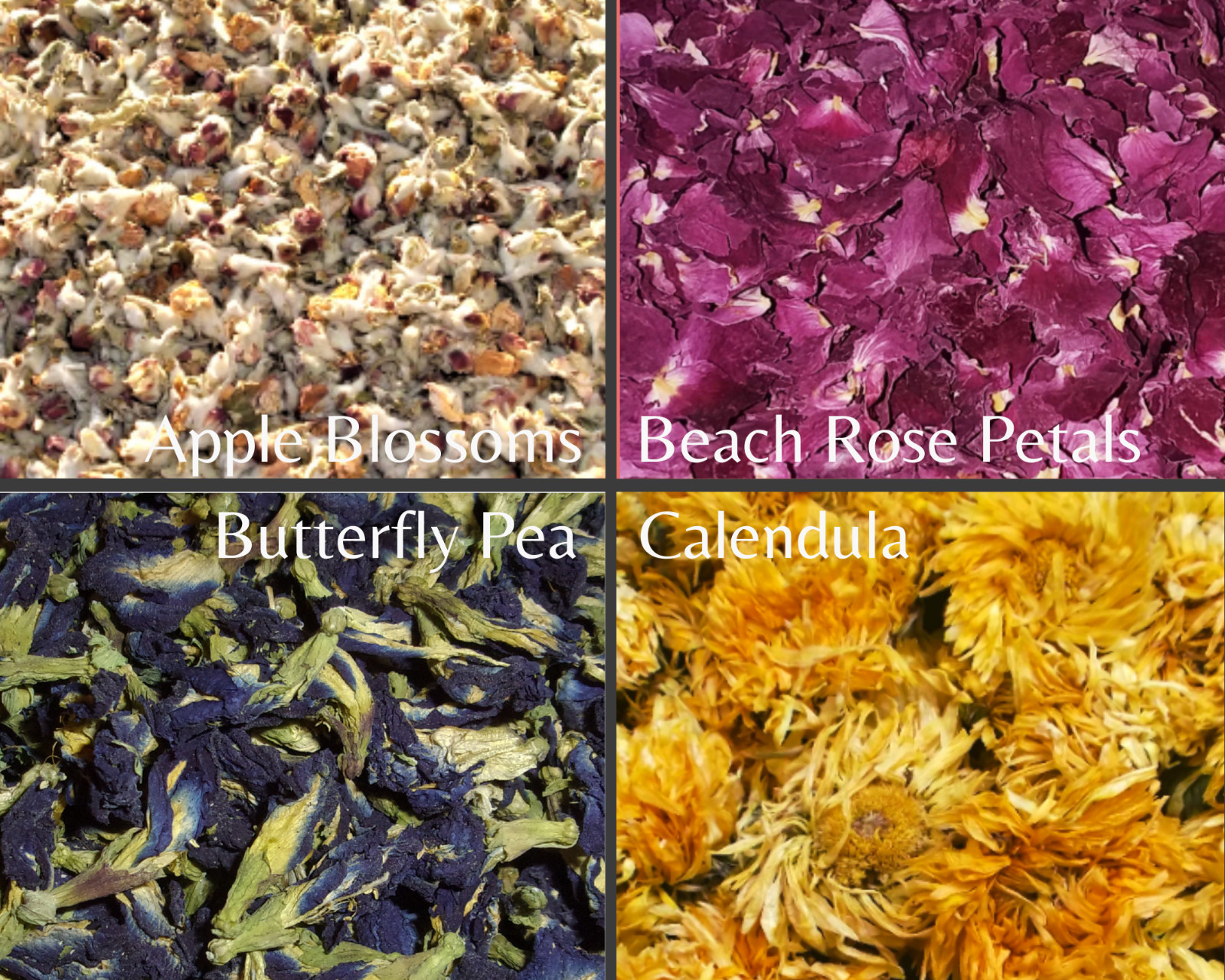 BULK DRIED HERBS {A-K} 4 oz – Loose Botanicals Apothecary Flowers Leaves Roots