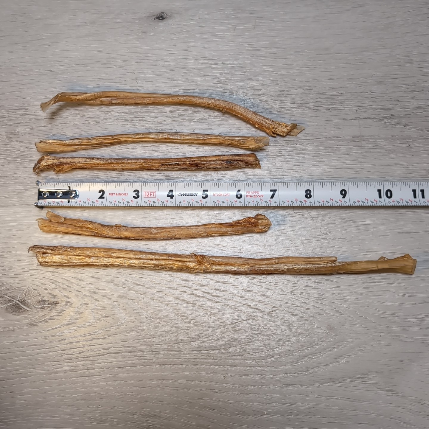 (Lot 15) Deer Leg Sinew Genuine Primitive Crafts Bow Arrow Native Authentic USA