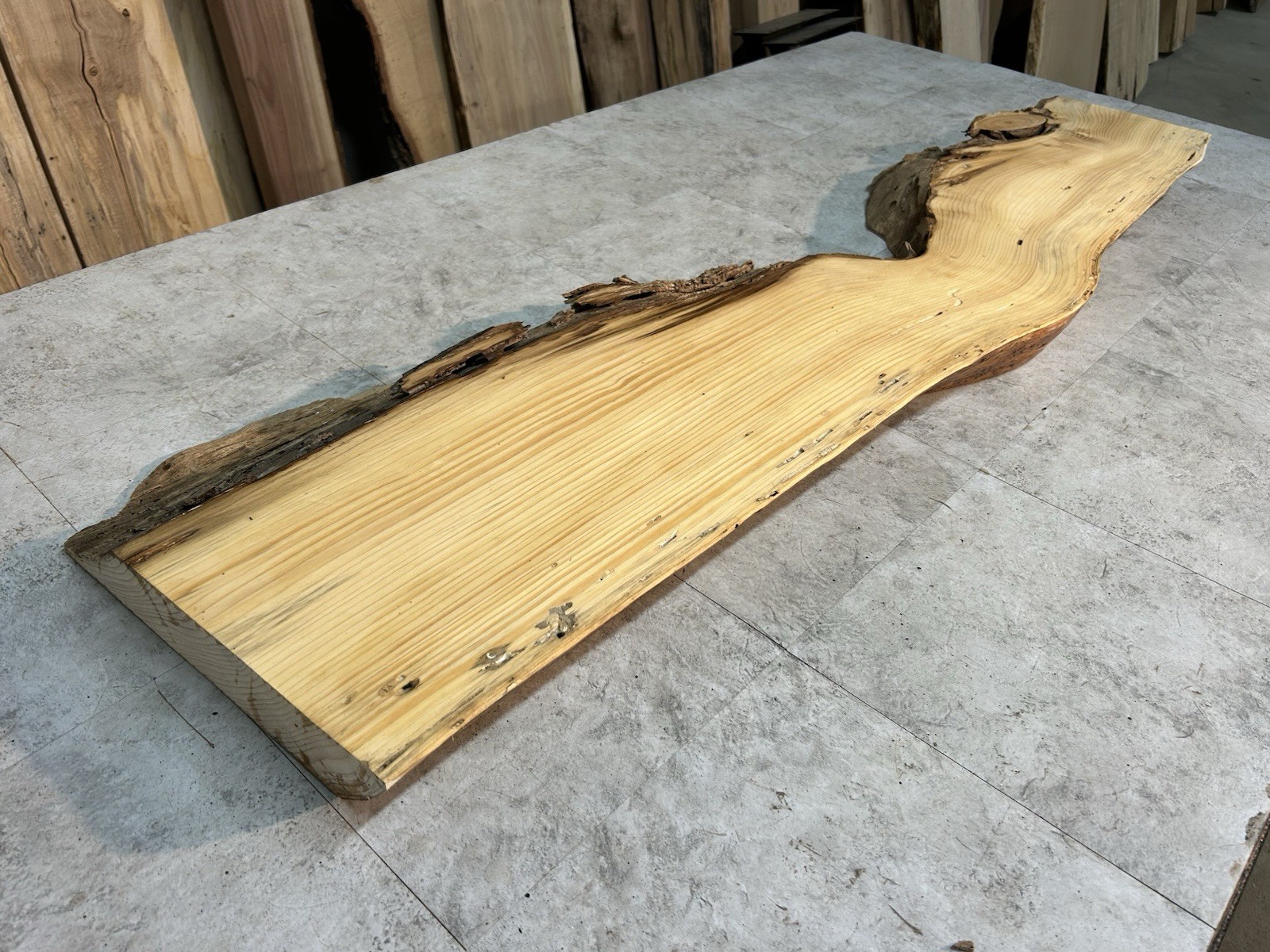 Gnarly Live Edge Pine Wood Slab/ Rustic Shelf or Mantle/Dried Wormy Pine Wood