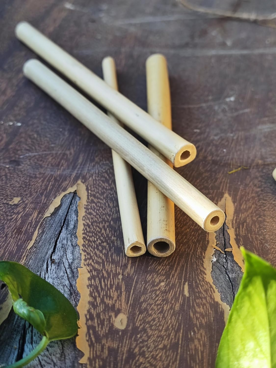 Bamboo Craft Tubes – 100 Count, 5″ Eco-Friendly Sticks for DIY Bee Hotels, So…