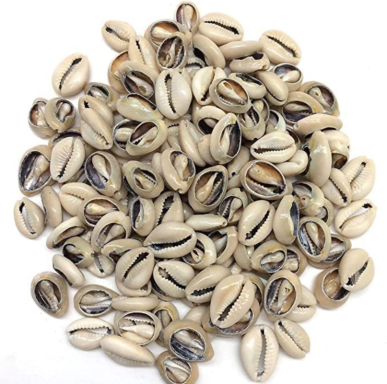 100 Pcs White and Lvory Natural Cowrie Shells Beads 0.12 Inches, White, Ivory