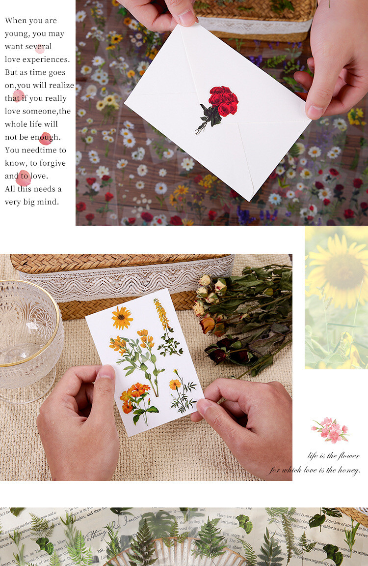 6Pcs Natural Journal Stickers PET Sticker Paper Scrapbooking Material Scrapbook