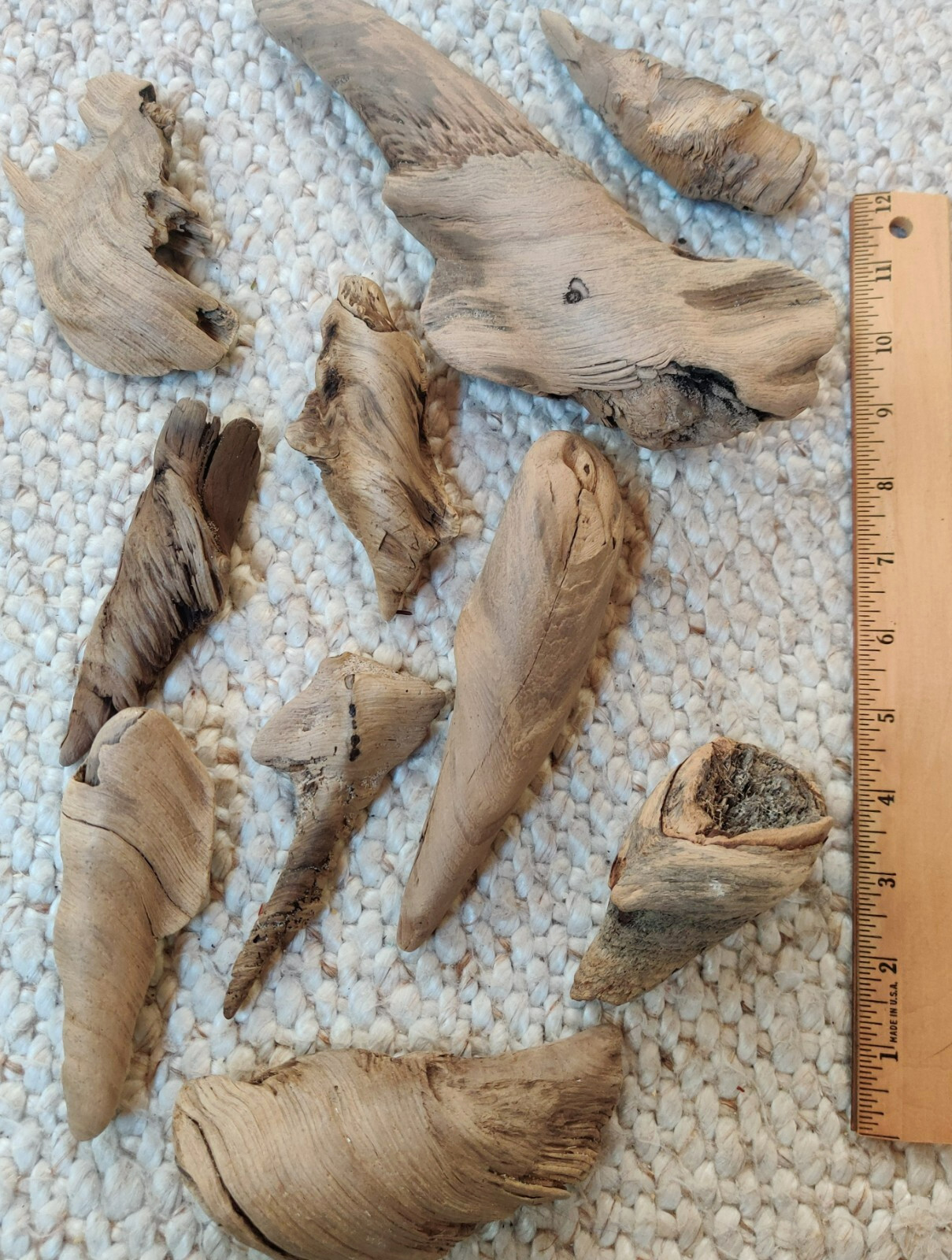 2 lbs. (14+ pcs.) of Beautiful, Unique, Natural Driftwood Gleaned from Lake MI