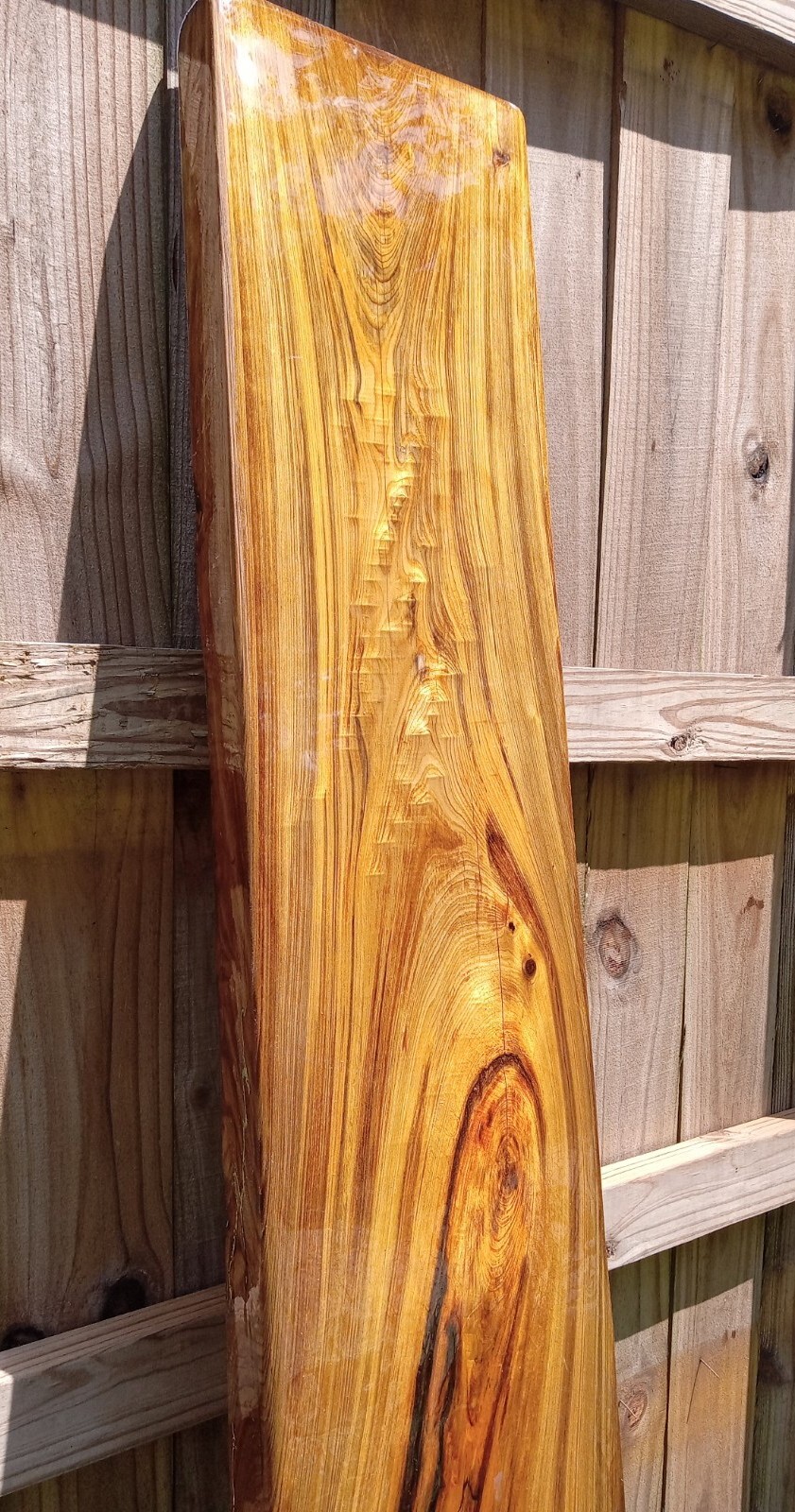 Returns Accepted Mantel or TV Table Top REAL Old Growth Sinker Cypress Wood Slab