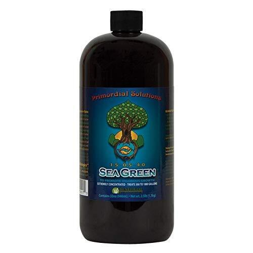 Sea Green 32 oz