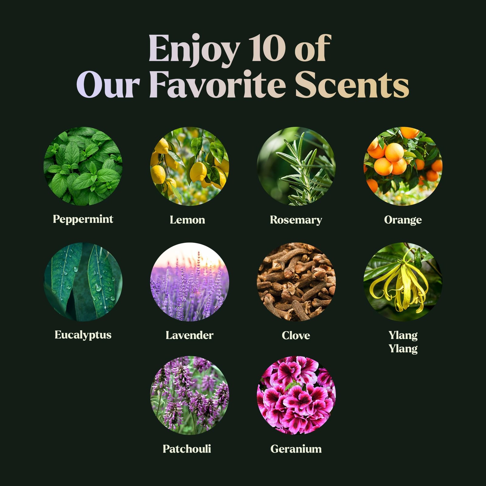 Essential Oils Set – Top 10 Gift Blends 0.33 Fl Oz (Pack of 10), 10-pack