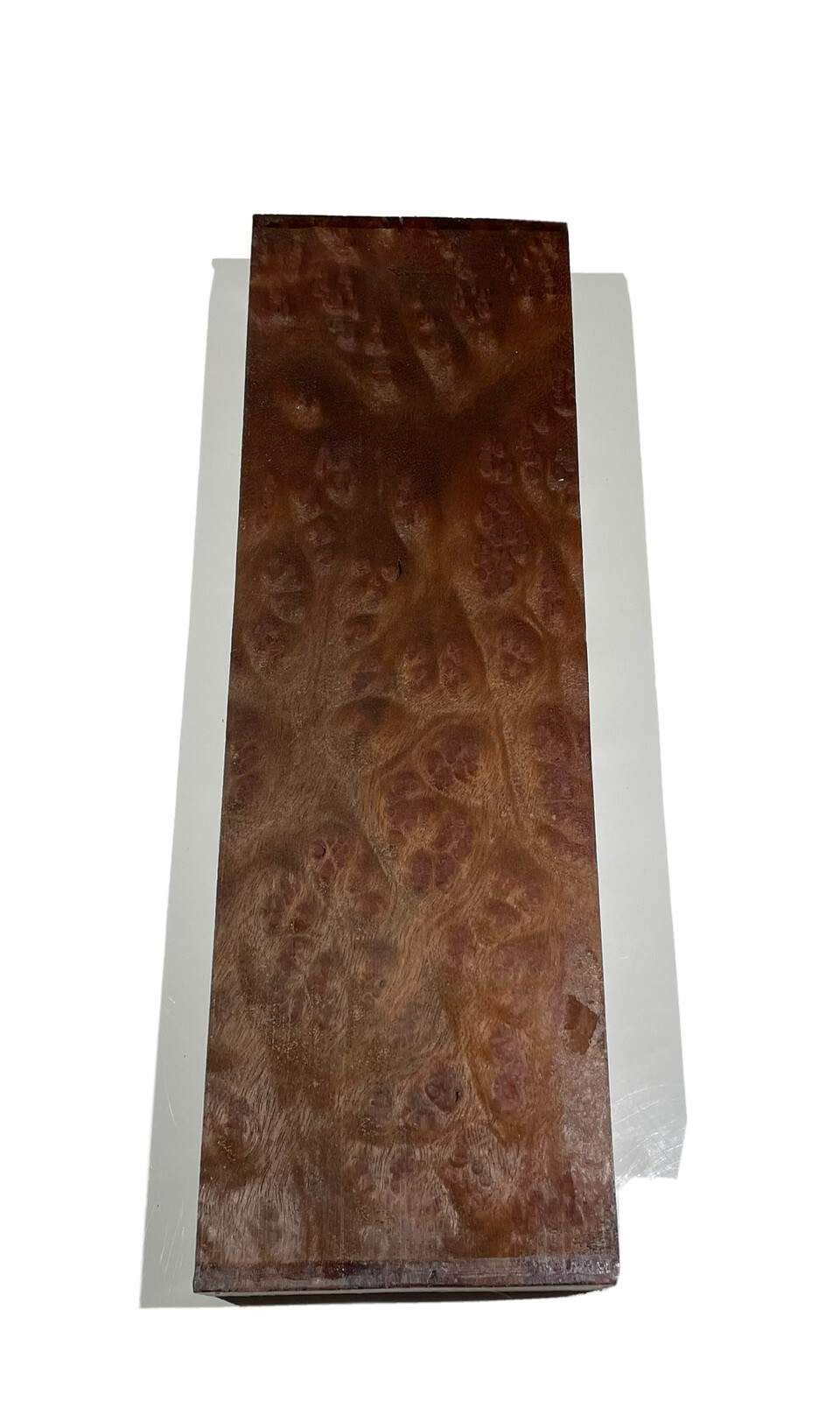 Camphor burl wood insrument block 17-5/8″ x 5-7/16” x 2″ (u95) dried billet