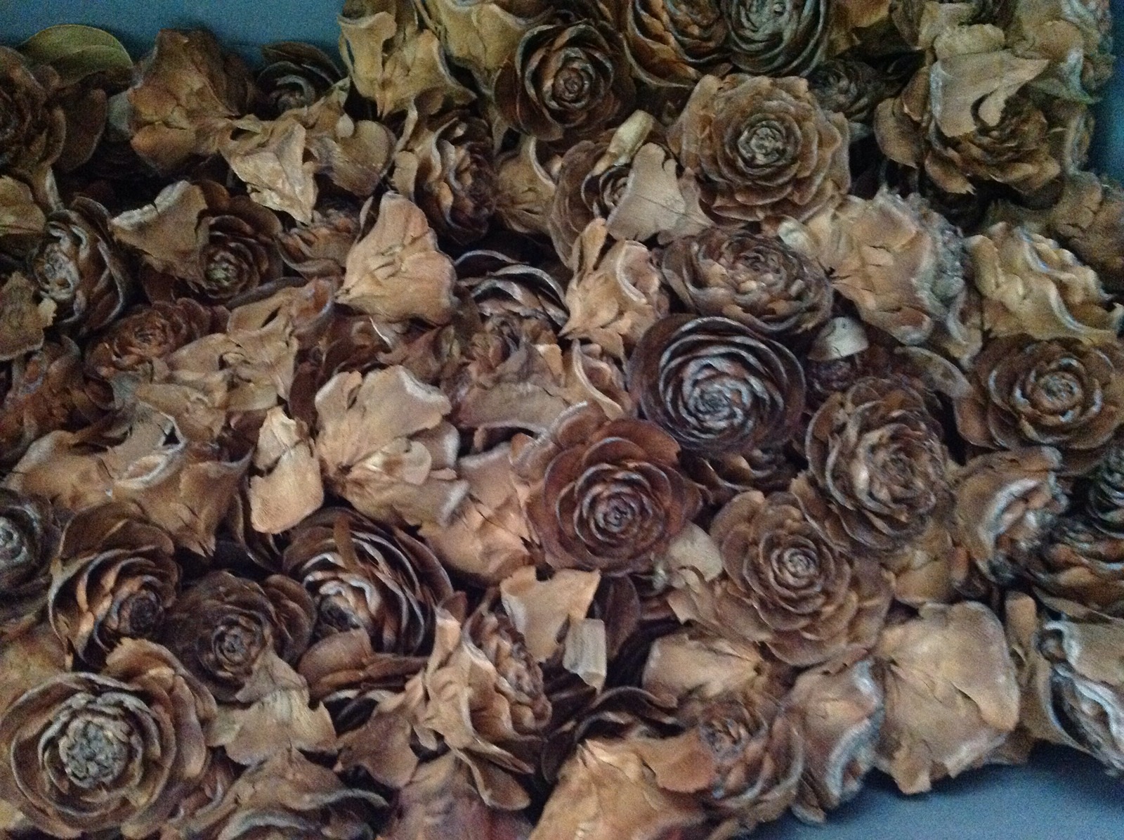 100 Cedar medium/Large cedar rose pine cone Wood Rustic Wedding Flowers Wooden