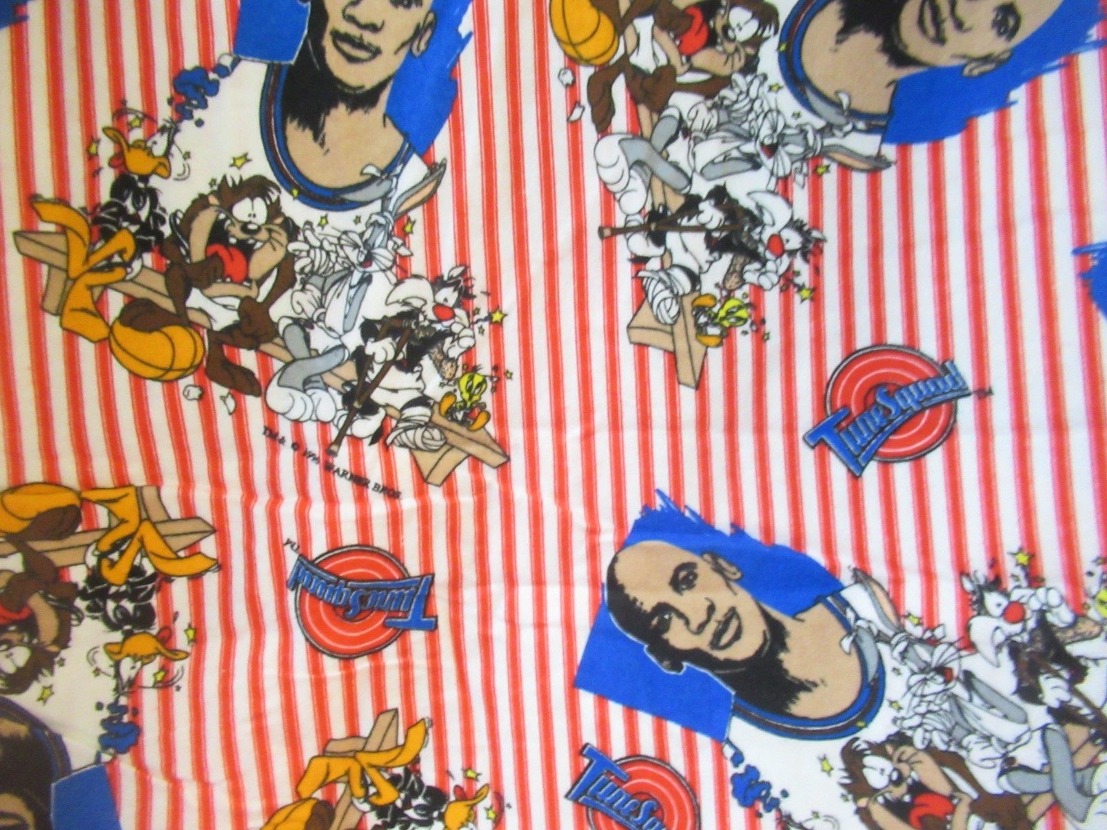 VTG 1996 SPACE JAM Warner Bros FLANNEL FABRICSLooney Tunes Jordan SBTY X45
