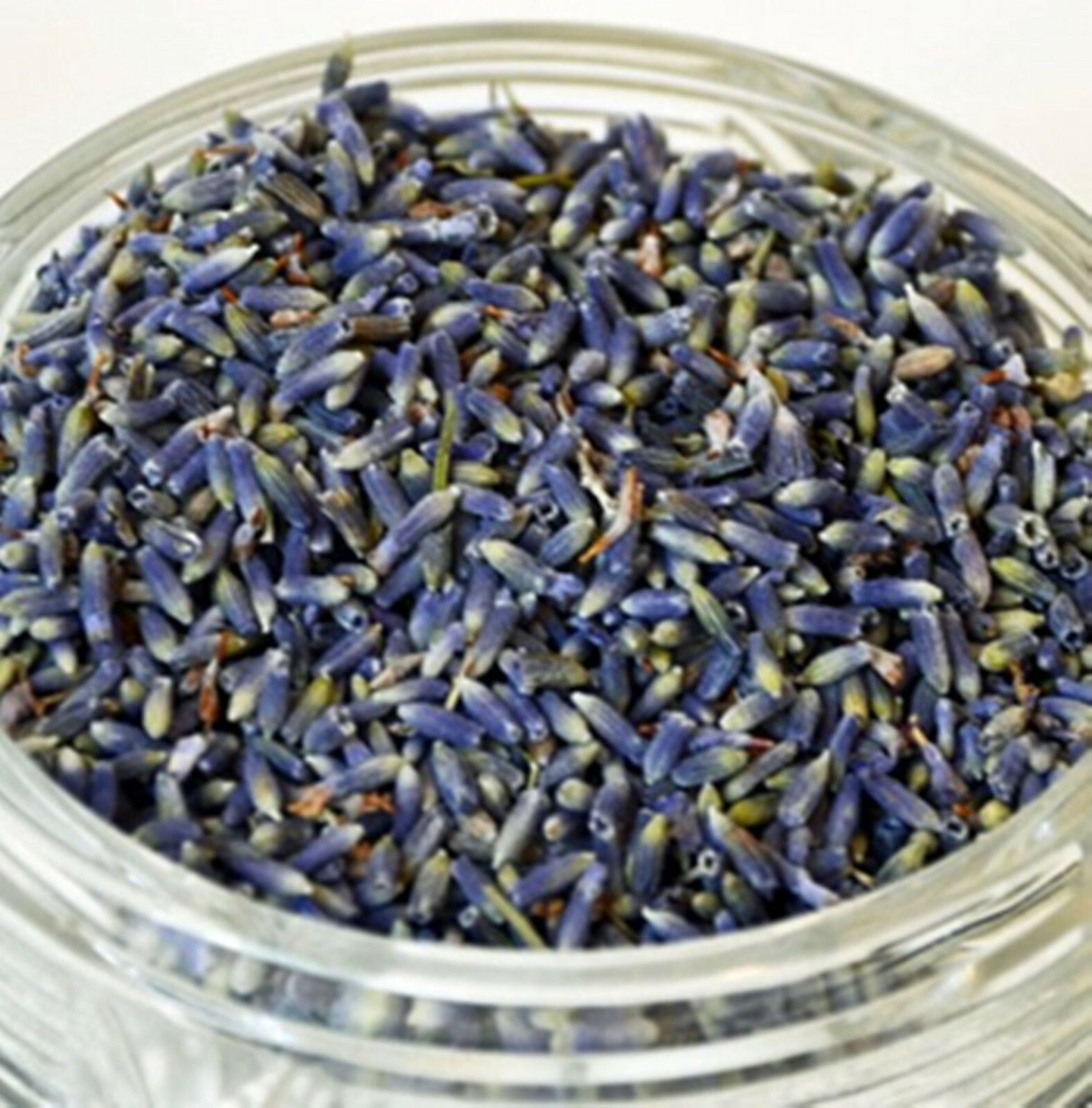 FRENCH LAVENDER BUDS: Deep Color & Fragrant | Imported Super Buds | USA SELLER