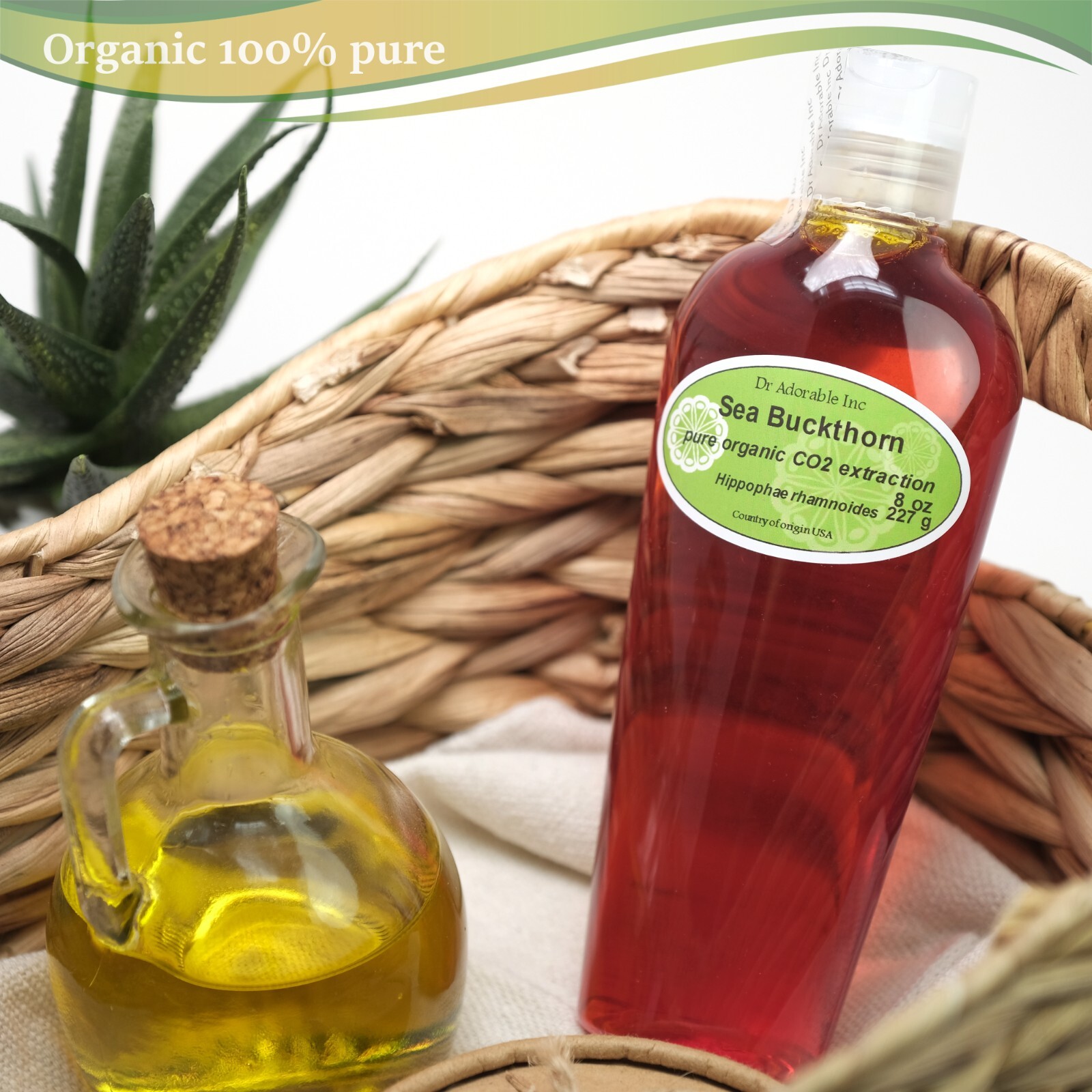 ORGANIC SEA BUCKTHORN CARRIER 100% PURE NATURAL OIL 1oz 2 oz 4 oz -UP TO 1 GALLO