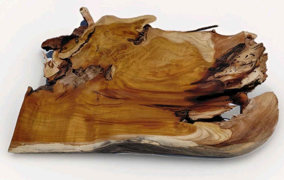 Burl – Fruitless Mulberry Slice. Live Edge. Resin Project, wall art