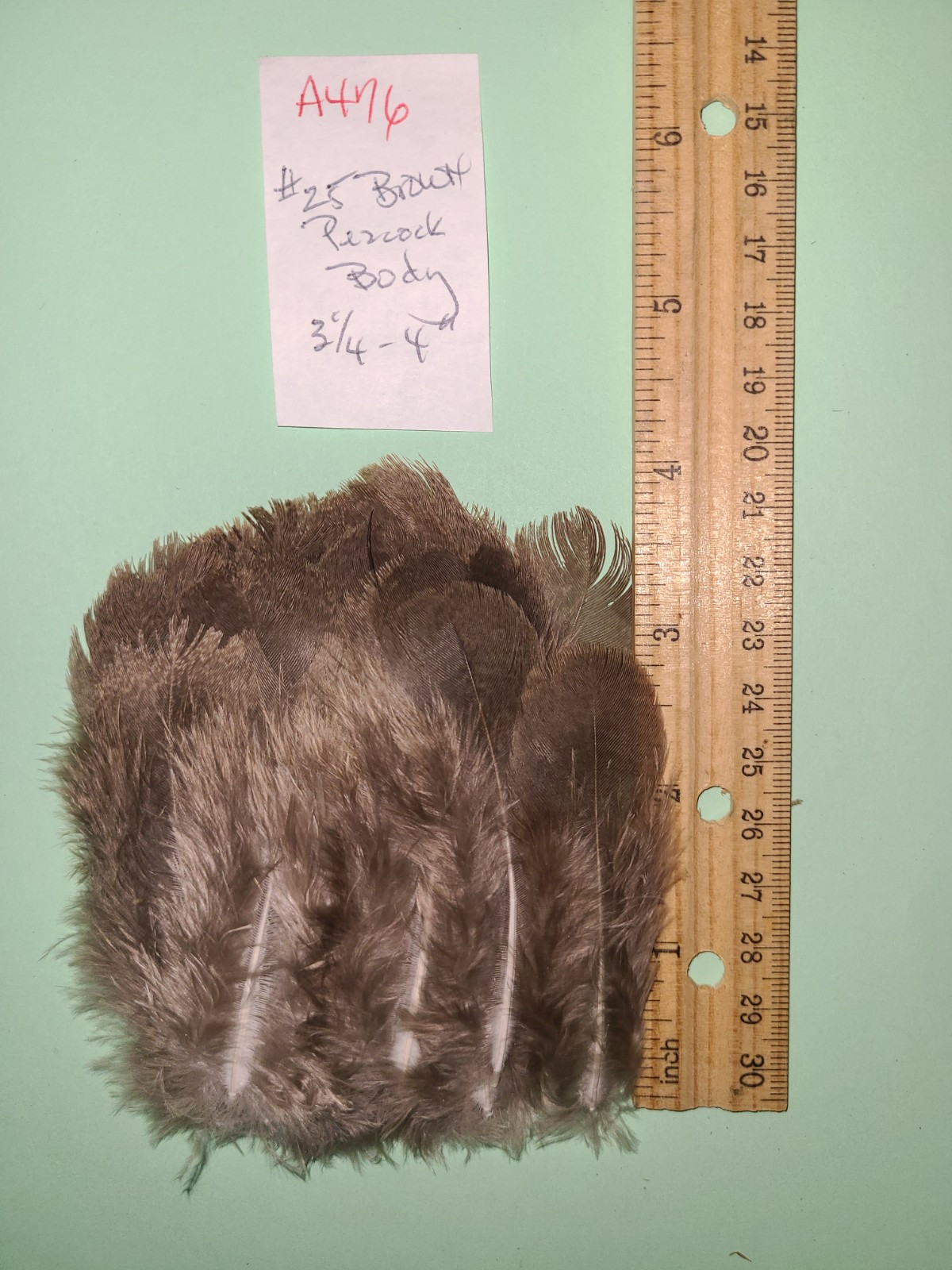 25 Brown Peacock Peahen Body Feathers 3″-4″ cruelty-free fly tying crafts A476