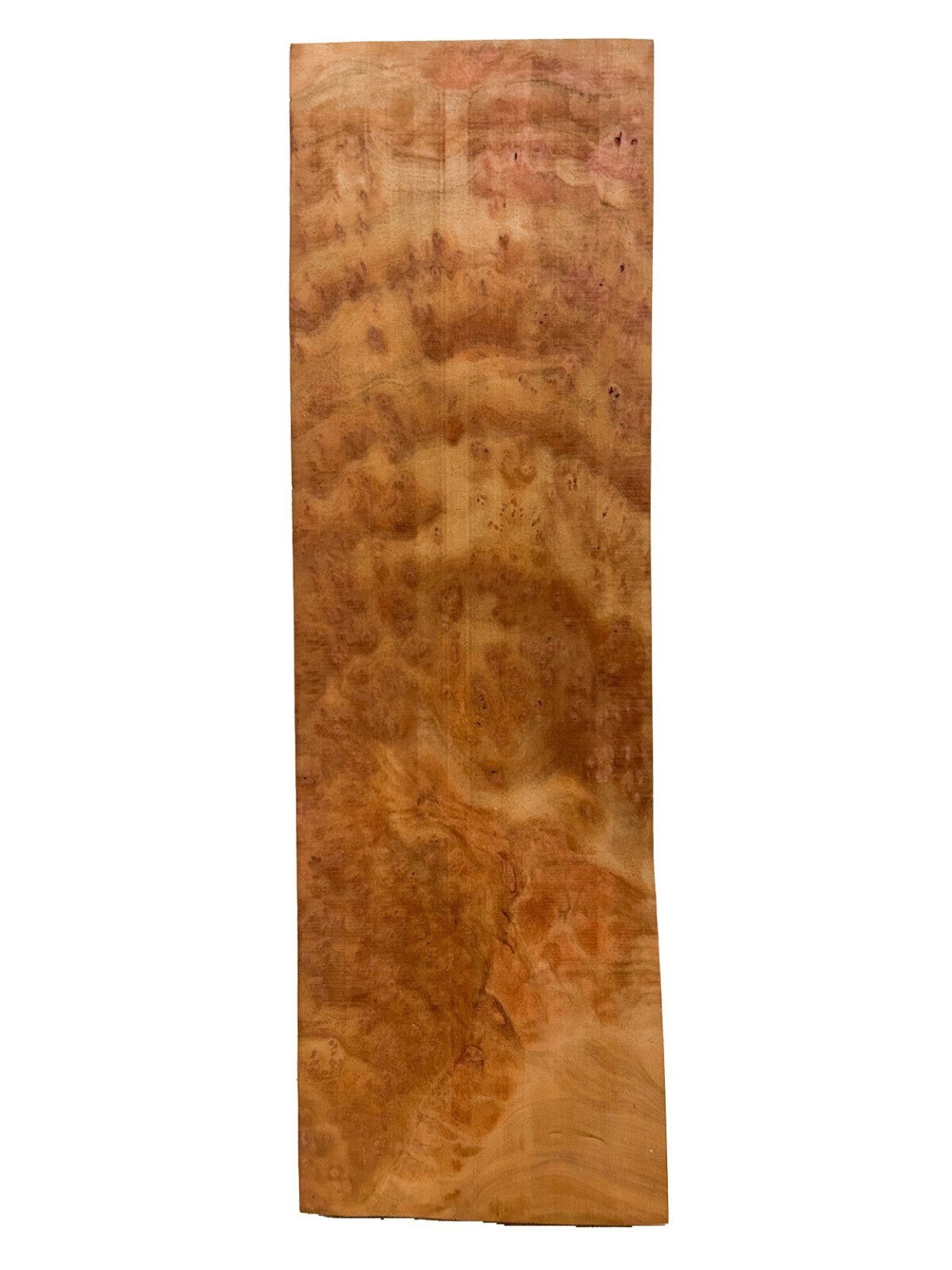 Camphor, Asian Burl Highly Figured guitar body blank – 24.5″ x 7.5″ x 2″ [E1078]