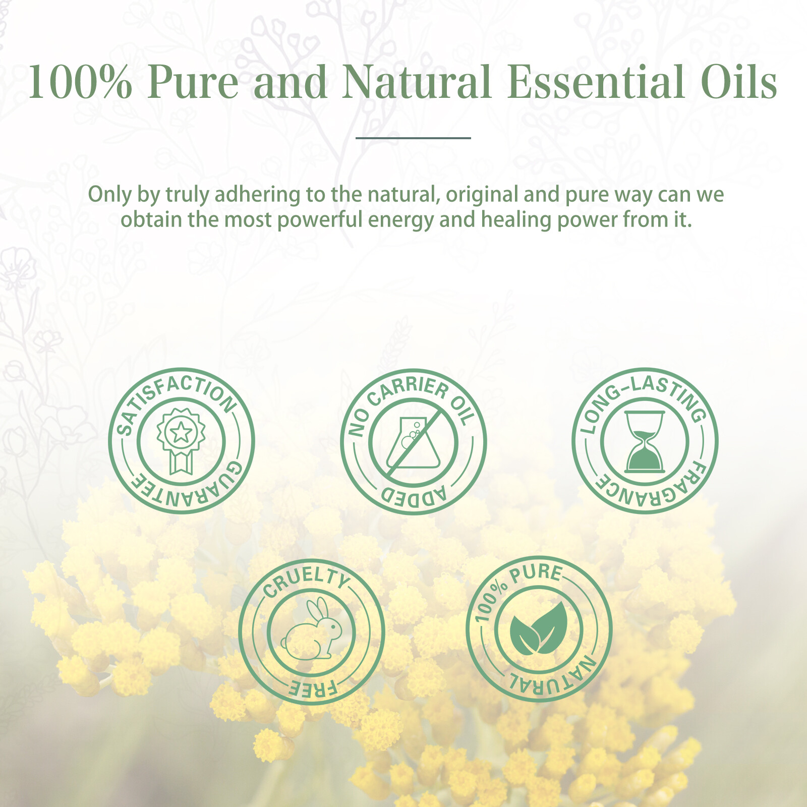 100 ml Essential Oil, Pure Natural -Therapeutic Grade w/Dropper -For Humidifier