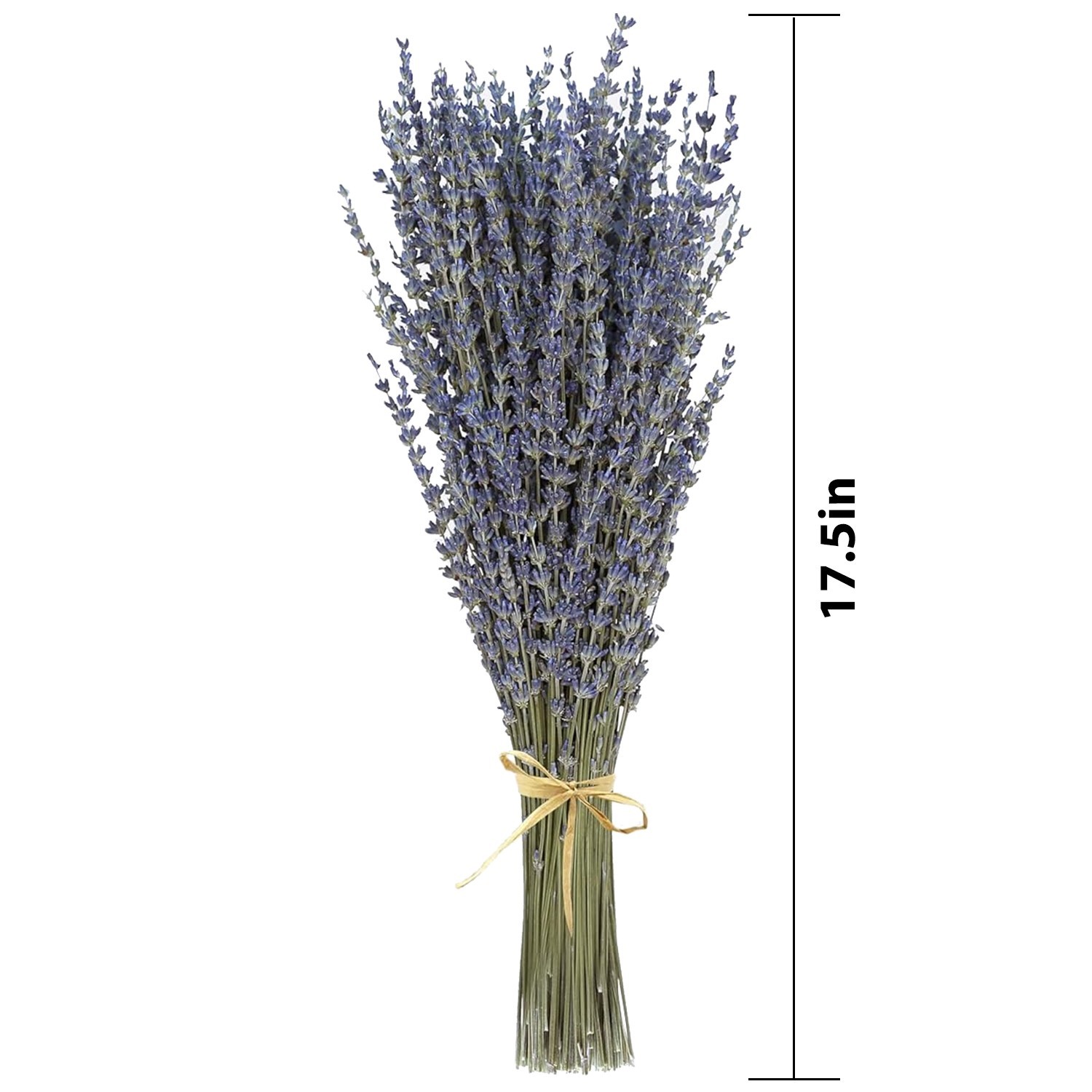 3 Packs Natural dried lavender bouquets, perfect for DIY projects.