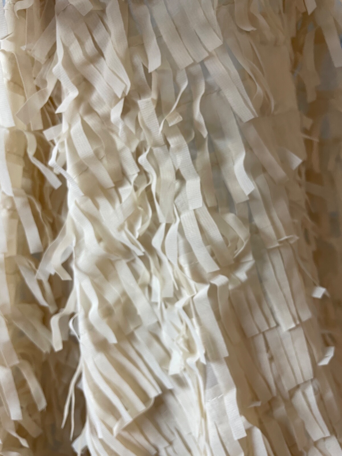 Fabric Lot 2 Yds 56 W Apparel Laser Cut Beige Vanilla Fringe Sheer Organza