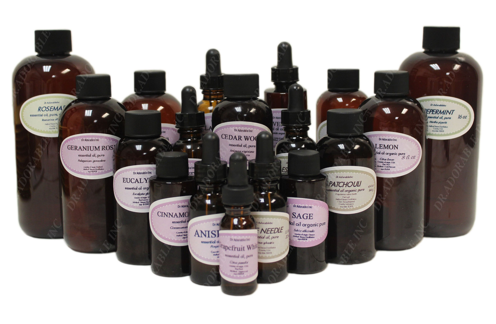 Peppermint Essential Oil Pure & Organic You Pick Size Free Shipping