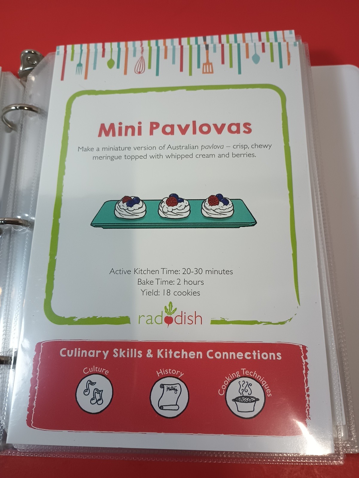 Lot Of 18 RADDISH KIDS Cooking Recipe Cards, INSTRUCTIONS, TRI-FOLD +12 Cards