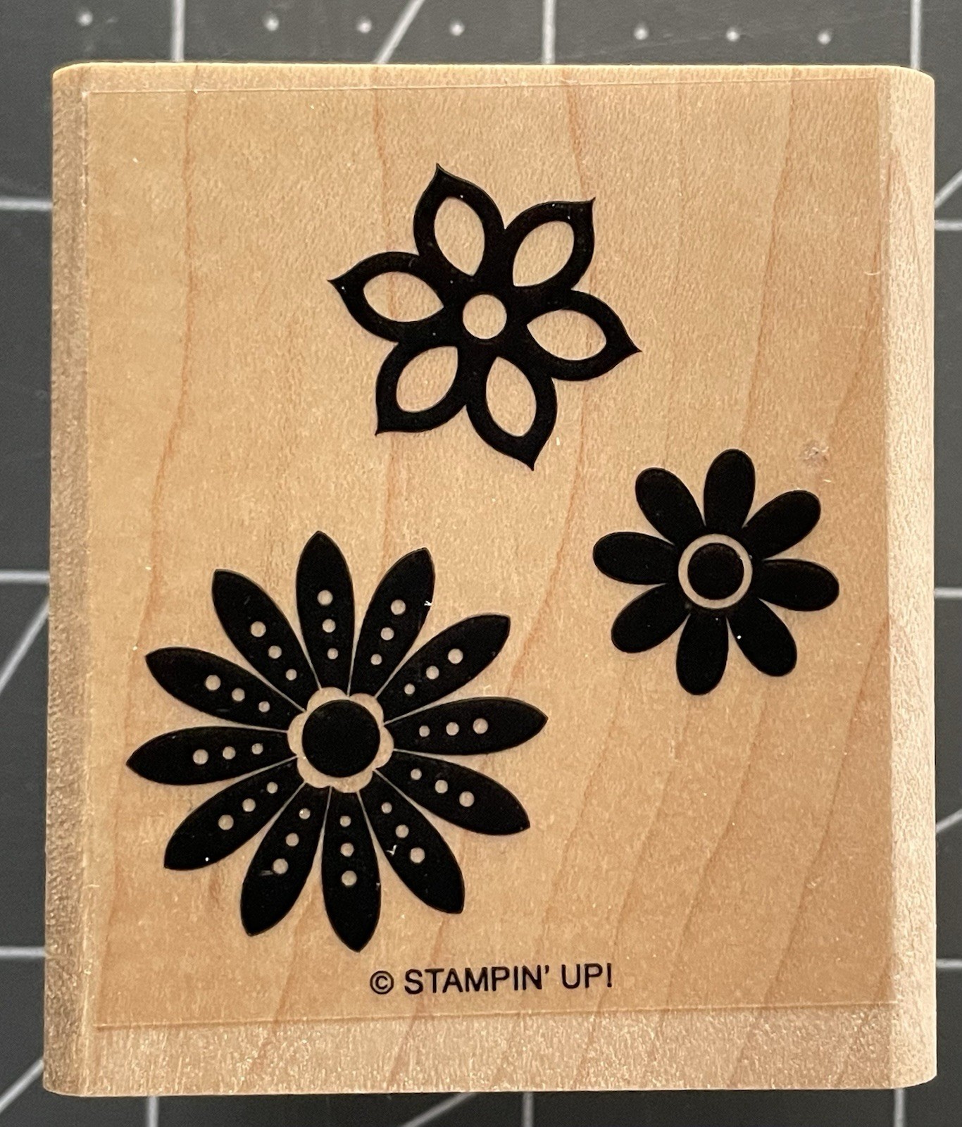 STAMPIN UP LARGE PAPER PUNCH Some RARE! ~ PAPER CRAFTS ETC You Pick